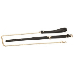 Generique Collier-Laisse Master Me Noir